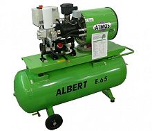 Albert E 65-R 10